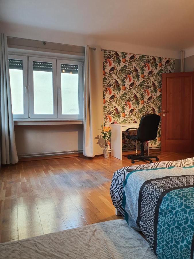 Vivacity Dudelange Zewnętrze zdjęcie